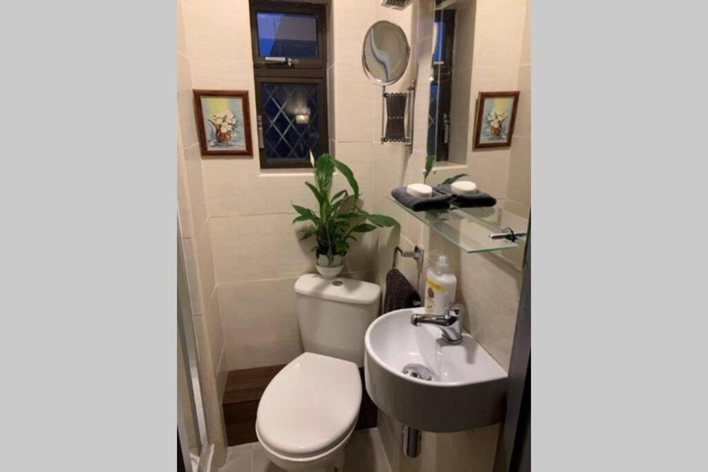 Upstairs Studio - Private Kitchenette And Small En-Suite Dublin Exterior photo